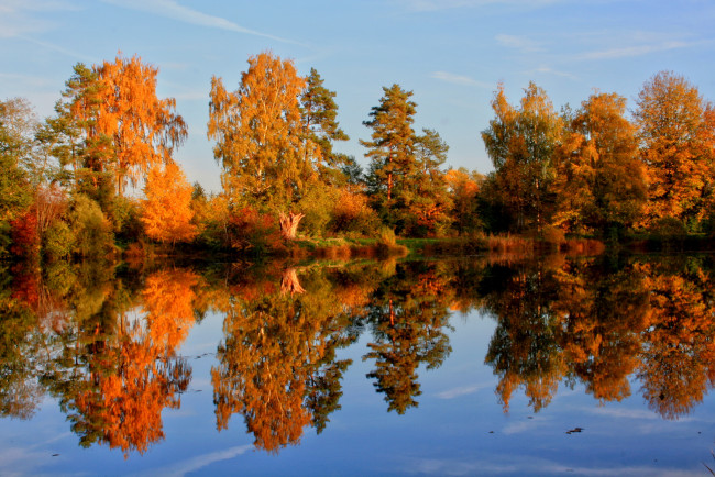 Обои картинки фото германия, лаупхайм, природа, реки, озера, река, осень, лес