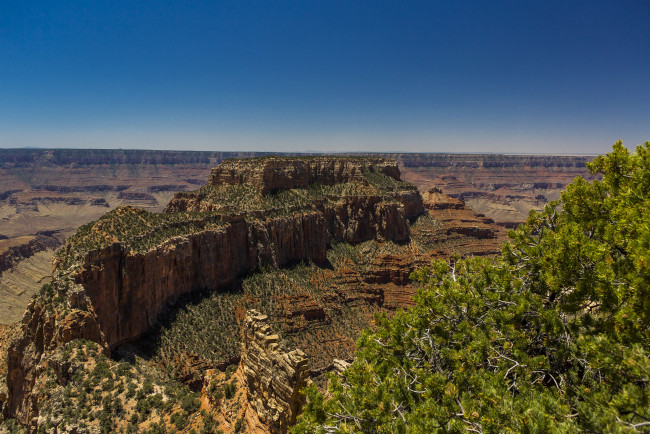 Обои картинки фото grand, canyon, national, park, arizona, природа, горы, парк