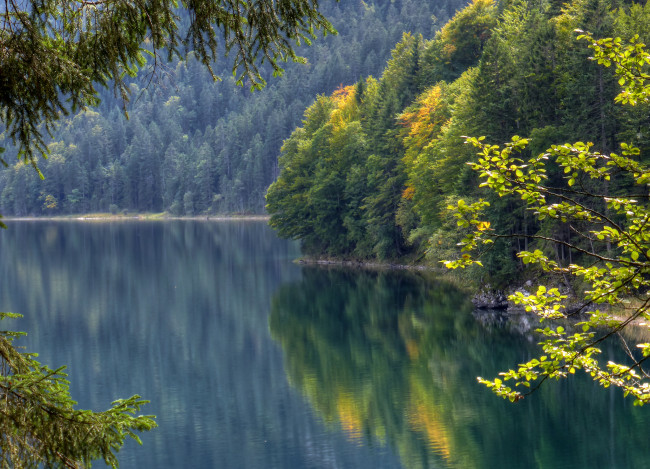 Обои картинки фото lake, eibsee, bavaria, germany, природа, реки, озера, бавария, озеро, айбзее, осень, отражение, лес, германия, водная, гладь