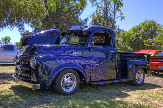 Обои картинки фото 1952 dodge pickup, автомобили, выставки и уличные фото, выставка, автошоу