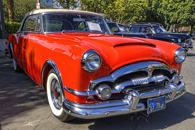 Обои картинки фото 1952 dodge pickup, автомобили, выставки и уличные фото, автошоу, выставка