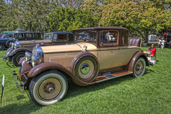 Обои картинки фото 1929 packard series 626 2-4 coupe, автомобили, выставки и уличные фото, автошоу, выставка