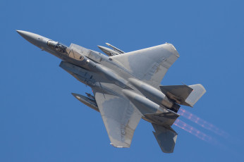 Картинка f-15c+eagle авиация боевые+самолёты истребитель