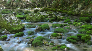 Картинка природа реки озера мох река камни поток