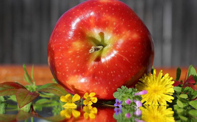 Обои картинки фото еда, Яблоки, яблоки, одуванчики, цветы