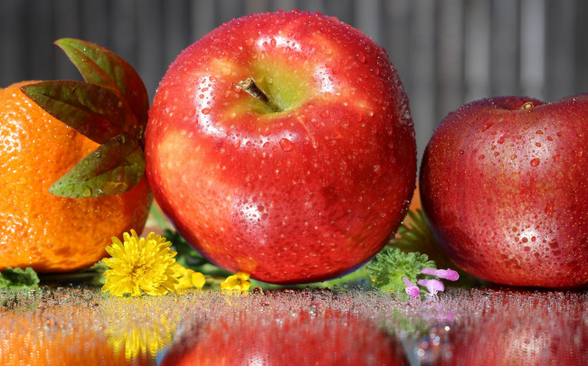 Обои картинки фото еда, Яблоки, яблоки, цитрус, цветы, капли