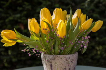 Картинка цветы букеты +композиции ваза букет желтые тюльпаны бутоны