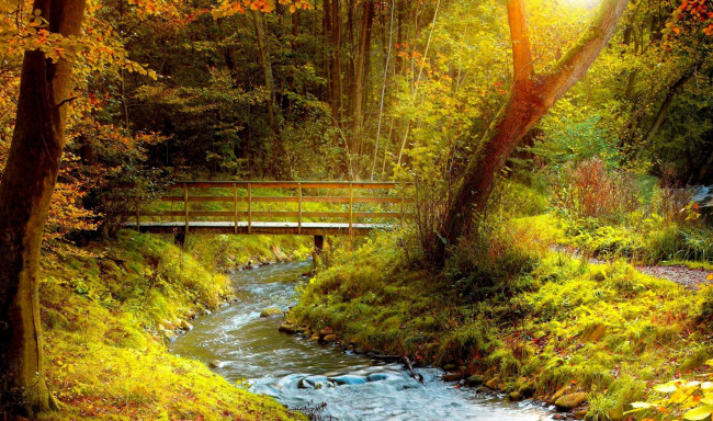 Обои картинки фото природа, реки, озера, лес, река, осень, мост