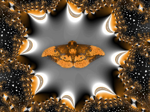 Картинка 3д графика animals животные фон абстракция бабочка