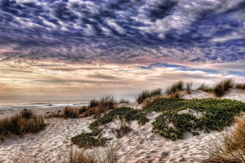 Картинка природа побережье трава песок вода небо тучи ветер