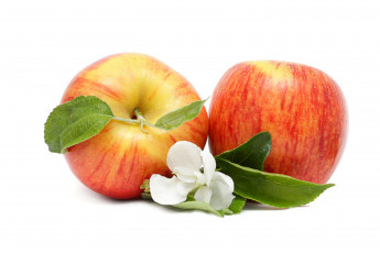 Картинка еда Яблоки фрукты