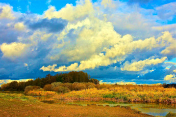 Картинка природа пейзажи лес осень деревья небо облака михайловские дали река сороть