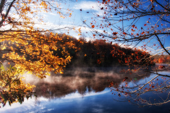 Картинка природа реки озера вода осень деревья ветки