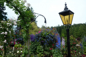 Картинка rose garden канада брентвуд бэй природа парк сад цветы