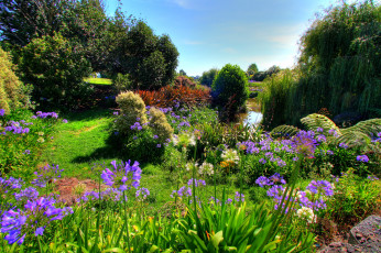 Картинка новая зеландия окланд моку природа парк сад цветы
