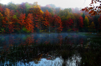 Картинка virginia природа реки озера река лес осень