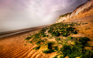 Картинка природа побережье тина камни песок пляж океан