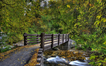 Картинка природа реки озера лес деревья река осень