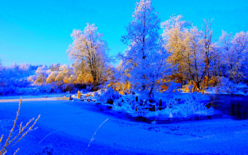 Картинка природа зима лед снег деревья река зила