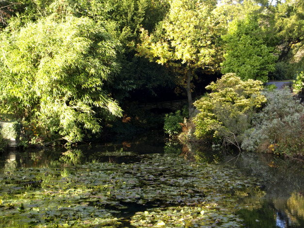 Обои картинки фото англия, которн, природа, реки, озера, растения, река