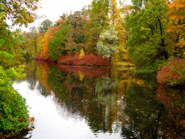 Обои картинки фото санкт, петербург, природа, реки, озера, осень, парк, река