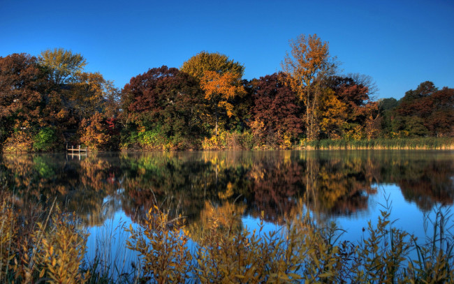 Обои картинки фото природа, реки, озера, осень, лес, река