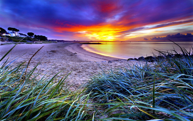 Обои картинки фото природа, восходы, закаты, трава, песок, закат, пляж
