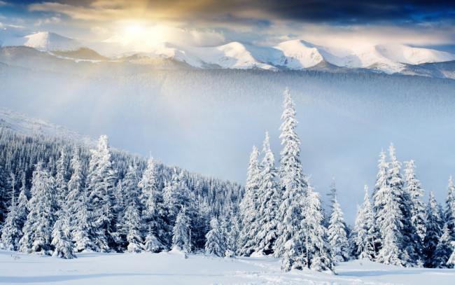 Обои картинки фото природа, зима, горы, лес, снег