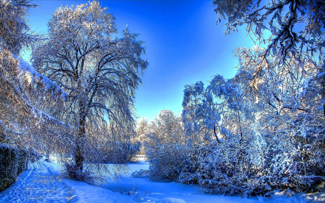 Обои картинки фото природа, зима, лес, снег, дорожка