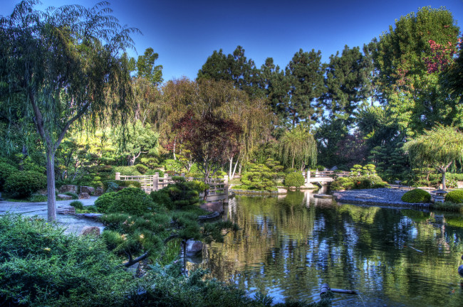 Обои картинки фото earl, burns, miller, japanese, garden, california, usa, природа, парк, сад