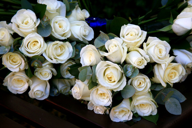 Обои картинки фото цветы, розы, белый, букеты