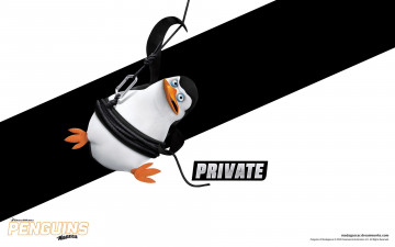 Картинка private мультфильмы the+penguins+of+madagascar мадагаскар пингвины