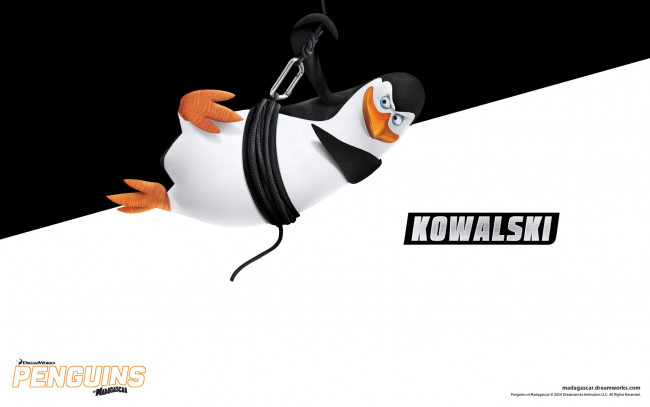 Обои картинки фото kowalski, мультфильмы, the penguins of madagascar, мадагаскар, пингвины
