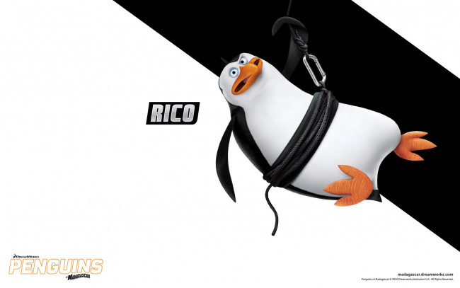 Обои картинки фото rico, мультфильмы, the penguins of madagascar, пингвины, мадагаскар