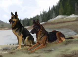 Картинка рисованное животные +собаки лес фон взгляд собаки