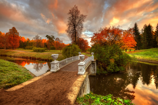 Обои картинки фото природа, парк, осень, санкт-петербург