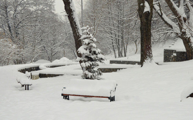 Обои картинки фото природа, зима, снег, деревья, скамейки, парк