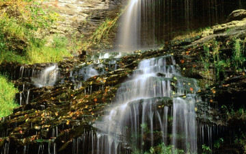 Картинка природа водопады водопад каскад скала листья