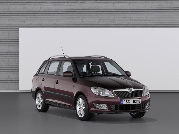 Обои картинки фото автомобили, skoda, fabia, combi