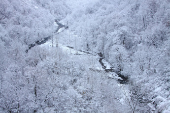 Картинка природа зима иней река лес