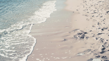 Картинка природа побережье песок