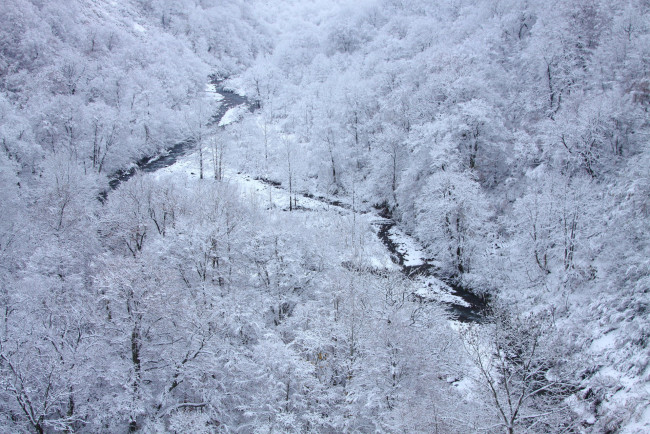 Обои картинки фото природа, зима, иней, река, лес