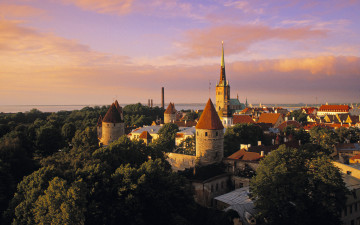 Картинка города таллин эстония город деревья замок небо