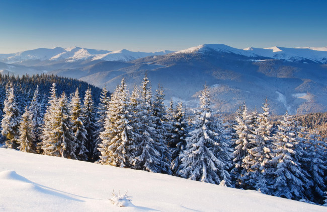 Обои картинки фото природа, зима, лес, снег, горы