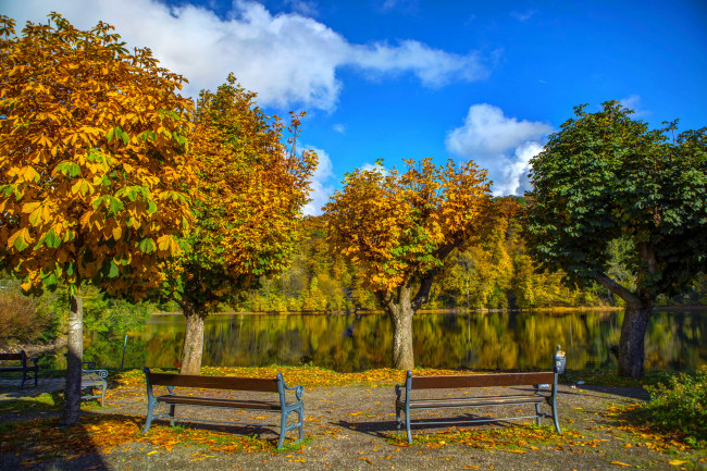 Обои картинки фото германия   ульмен, природа, парк, германия, ульмен, река, деревья, скамейки, осень