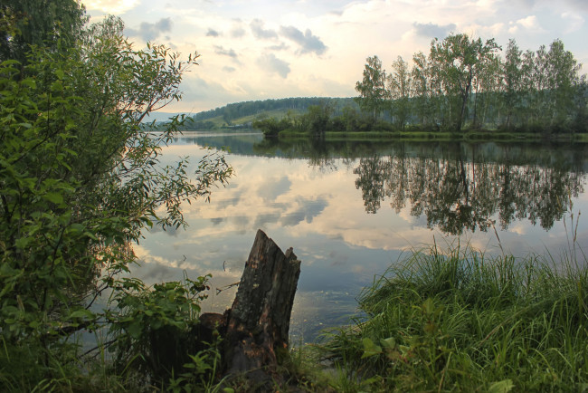 Обои картинки фото природа, реки, озера, вода, деревья