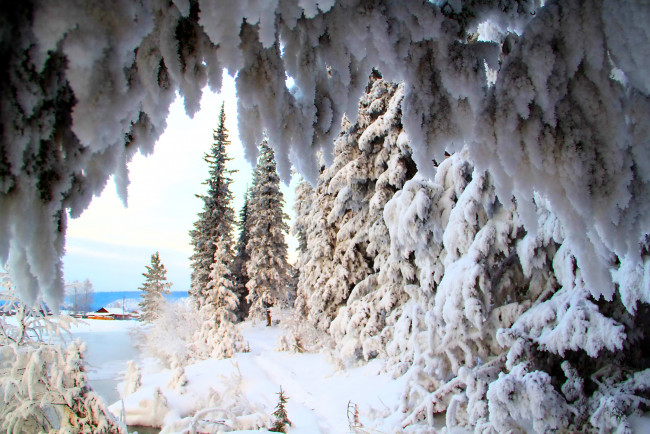 Обои картинки фото природа, зима, снега