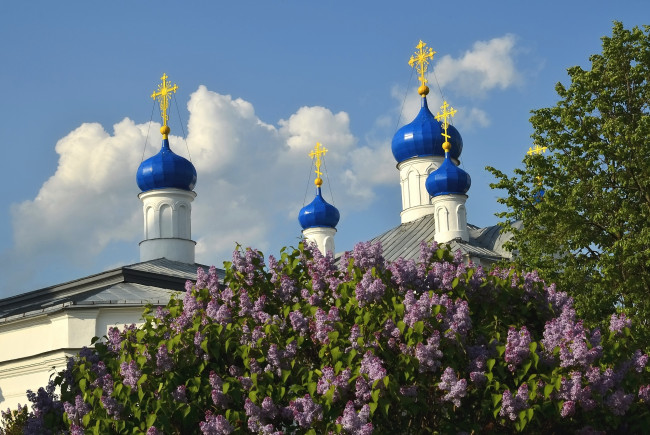 Обои картинки фото города, - православные церкви,  монастыри, сирень, купола