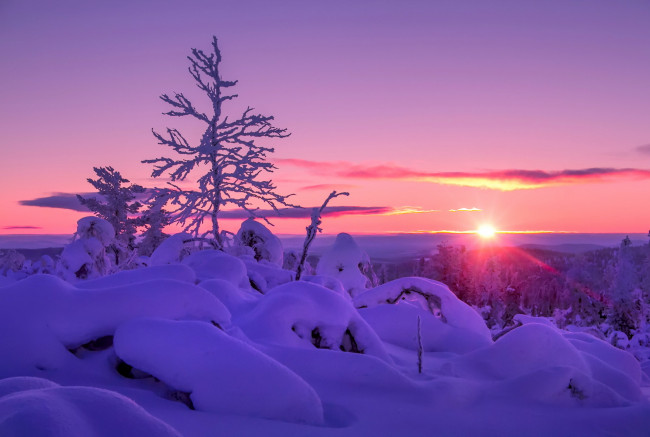 Обои картинки фото природа, восходы, закаты, зима, закат, снег