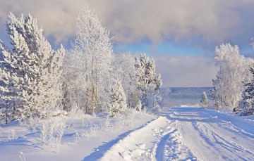 Картинка природа зима снег дорога иней мороз